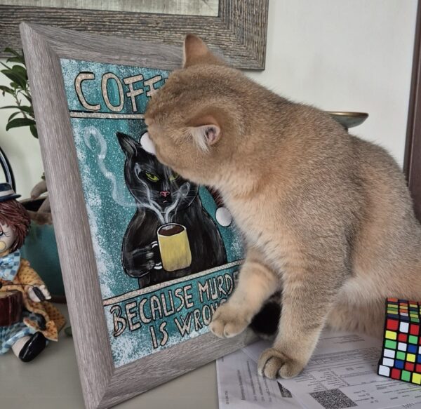 Coffee, because murder is wrong - imagine 4