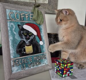 Coffee, because murder is wrong