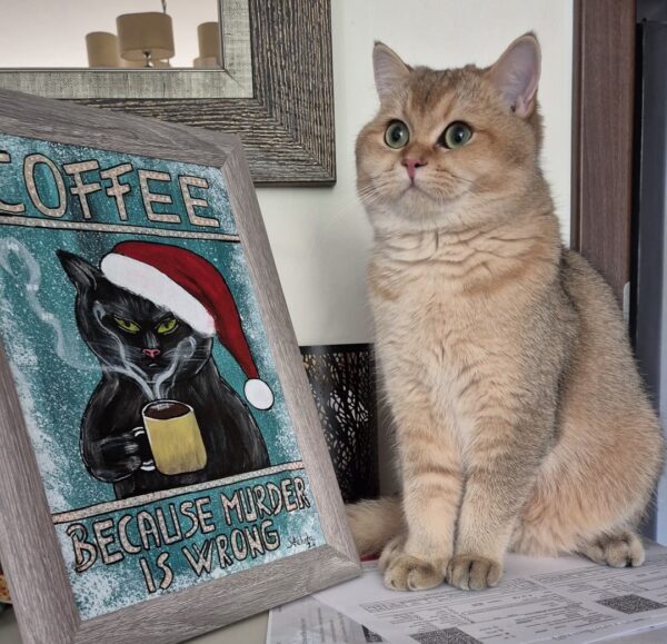 Coffee, because murder is wrong - imagine 3